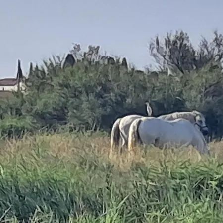 بيت للعطل Clos Gabmy Entre Et Garrigue *