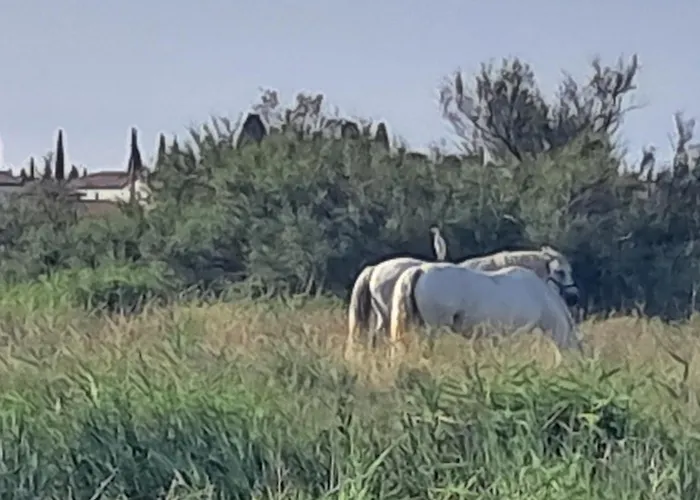Feriehus Clos Gabmy Entre Et Garrigue *